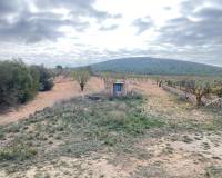 Wederverkoop - Country house - Pinoso - 