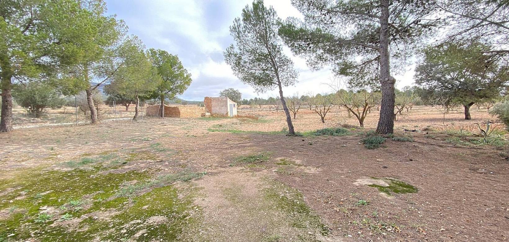 Wederverkoop - Country house - Pinoso - 