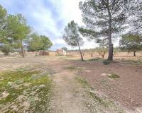 Wederverkoop - Country house - Pinoso - 