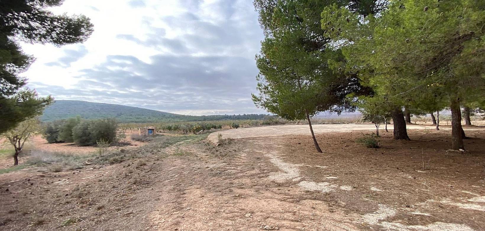 Wederverkoop - Country house - Pinoso - 