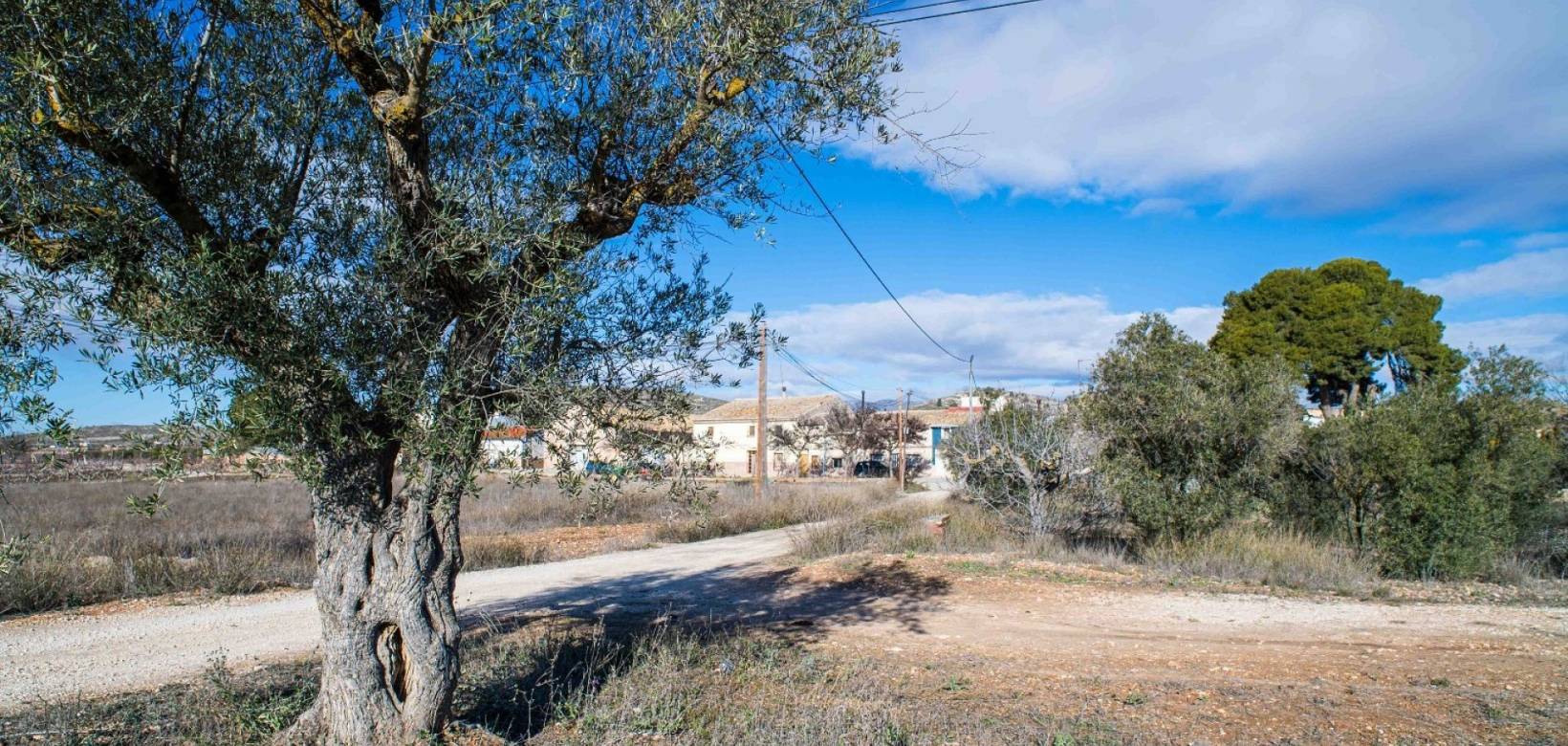 Wederverkoop - Country house - Pinoso - 