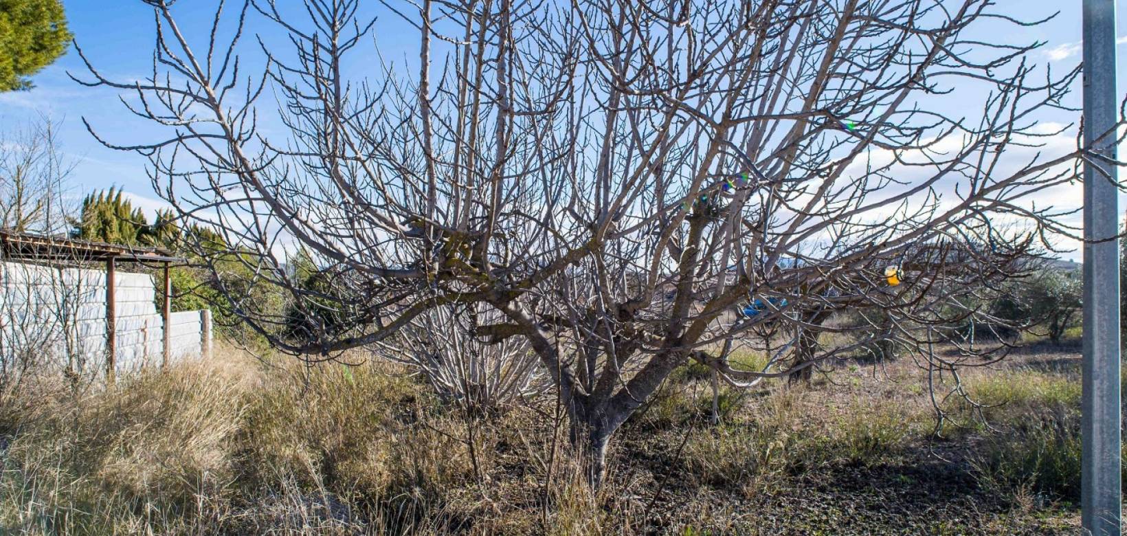 Wederverkoop - Country house - Pinoso - 