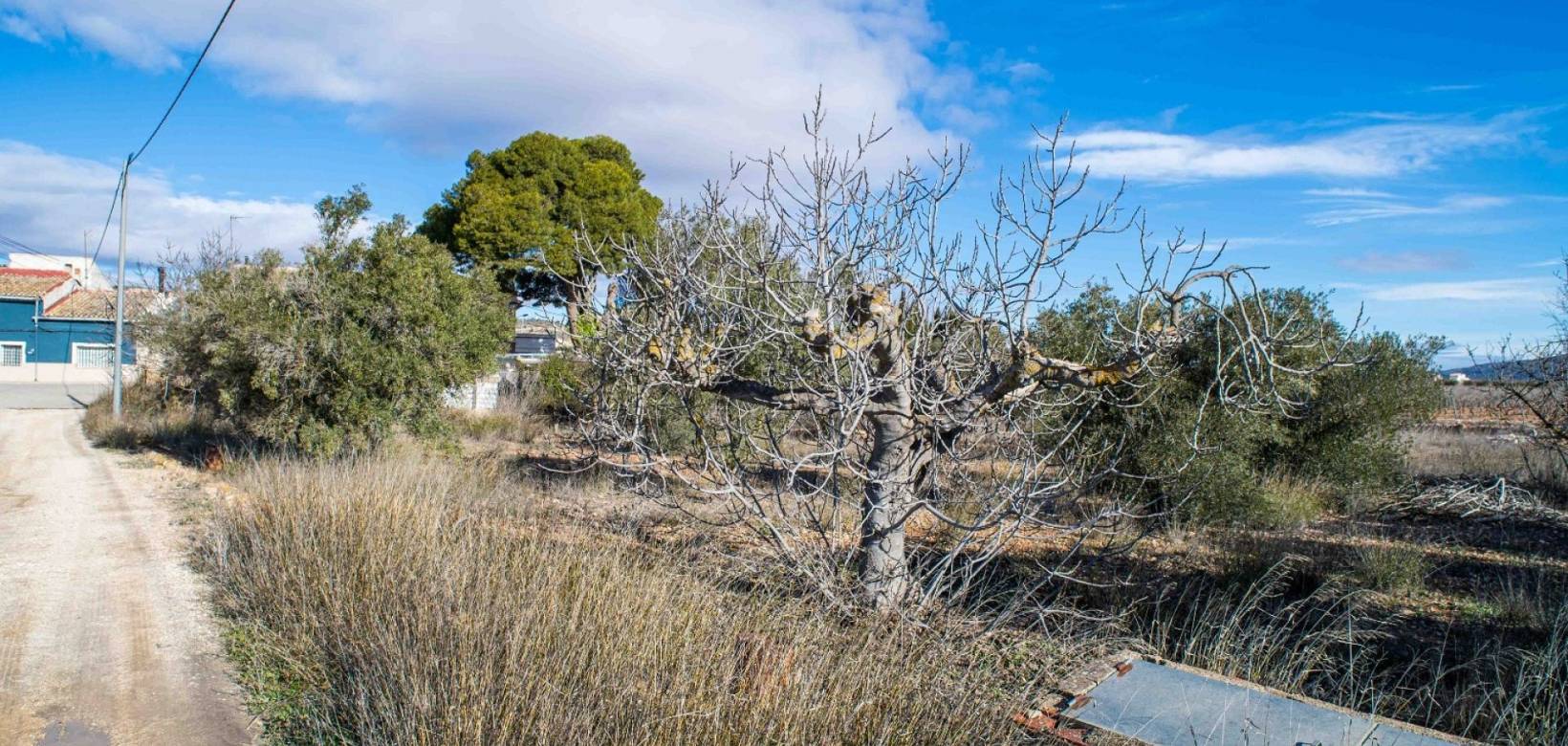 Wederverkoop - Country house - Pinoso - 