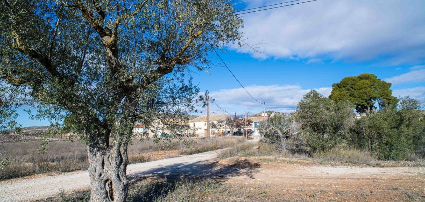 Wederverkoop - Country house - Pinoso - 