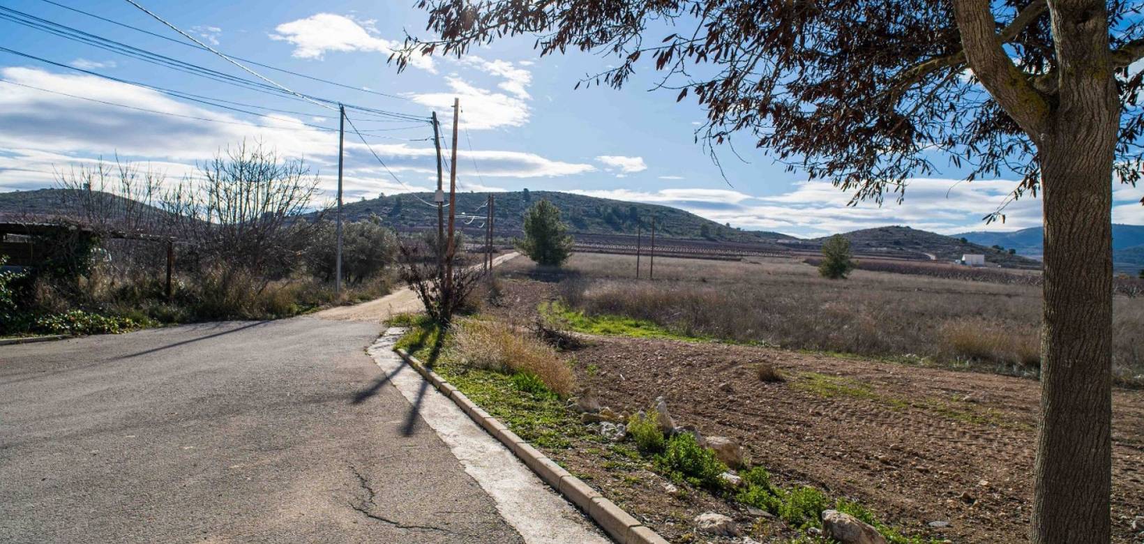 Wederverkoop - Country house - Pinoso - 