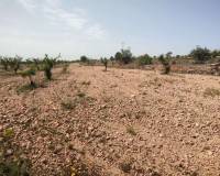 Wederverkoop - Country house - Pinoso - 