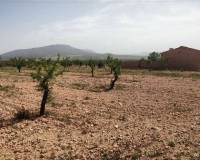 Wederverkoop - Country house - Pinoso - 