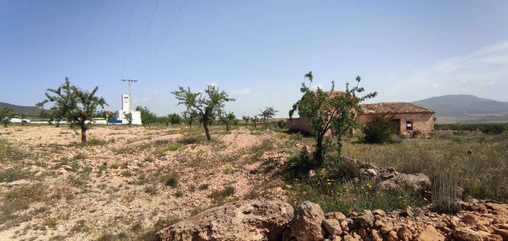 Wederverkoop - Country house - Pinoso - 