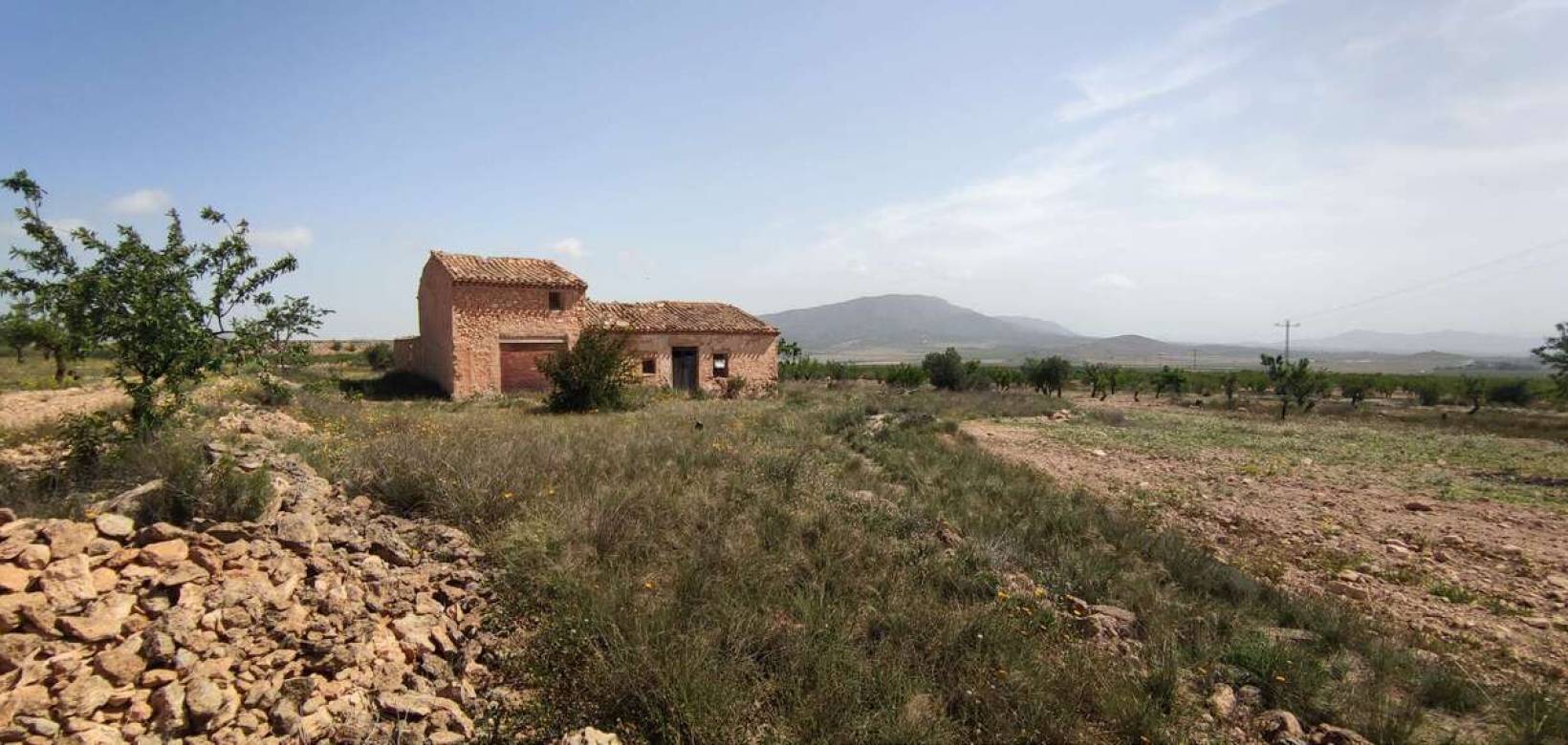 Wederverkoop - Country house - Pinoso - 