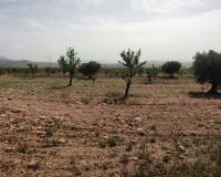 Wederverkoop - Country house - Pinoso - 