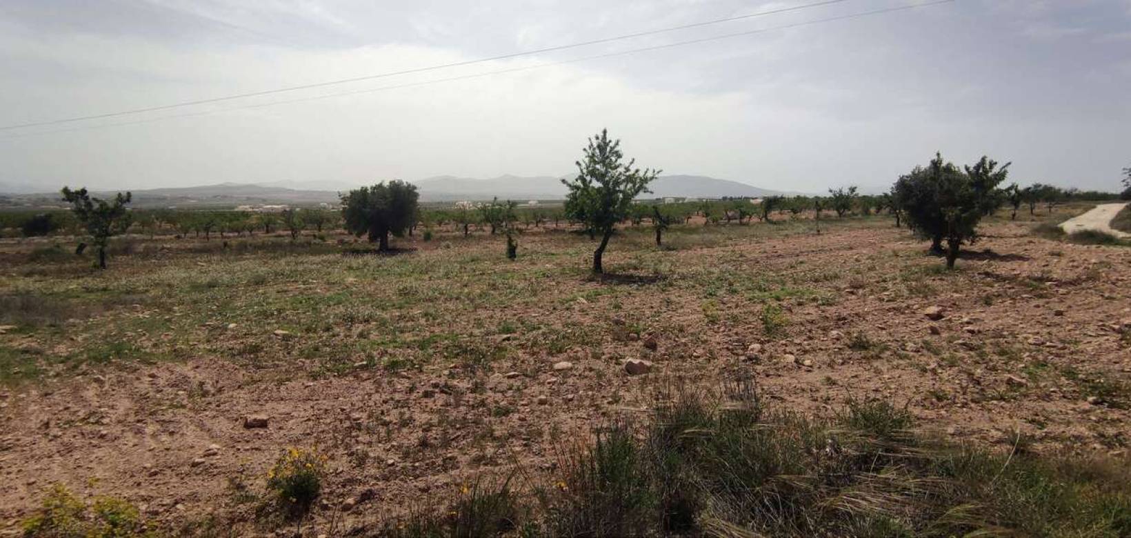 Wederverkoop - Country house - Pinoso - 