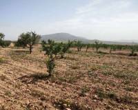 Wederverkoop - Country house - Pinoso - 