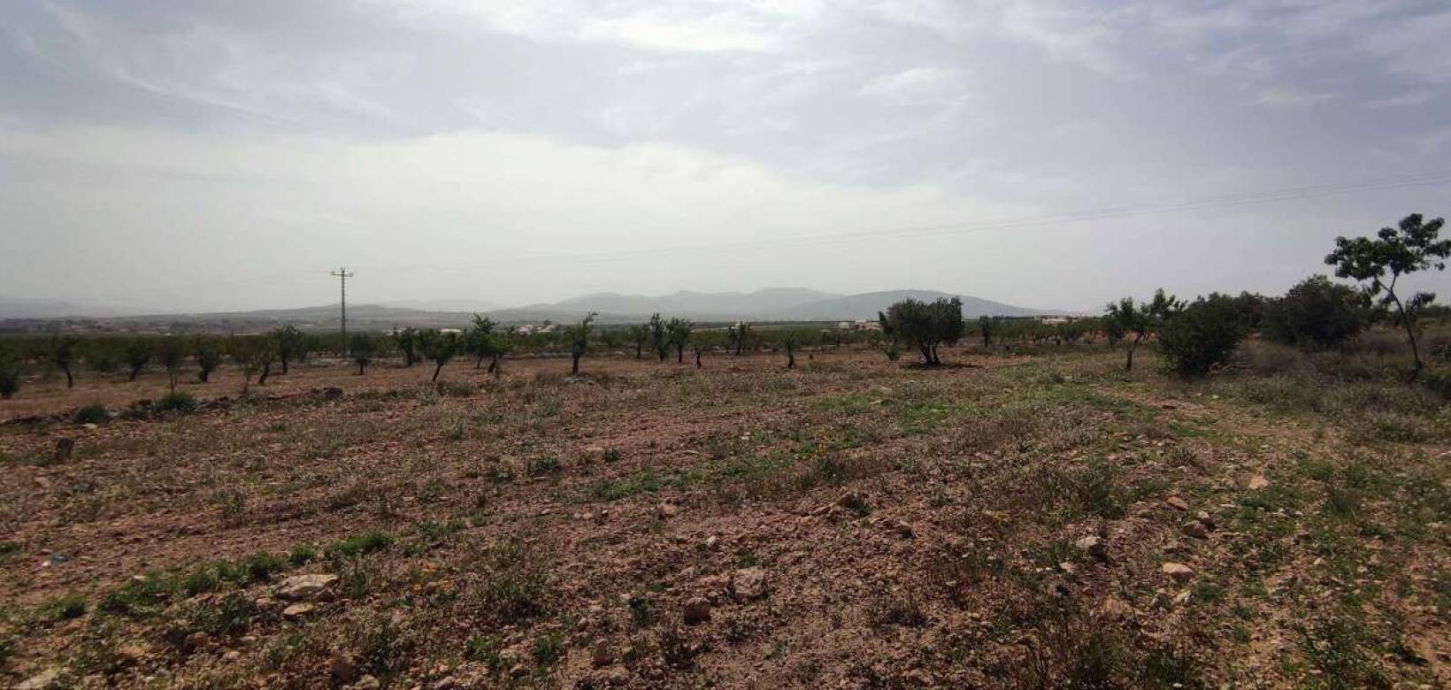 Wederverkoop - Country house - Pinoso - 