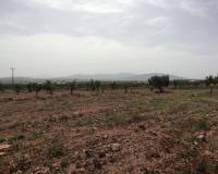 Wederverkoop - Country house - Pinoso - 