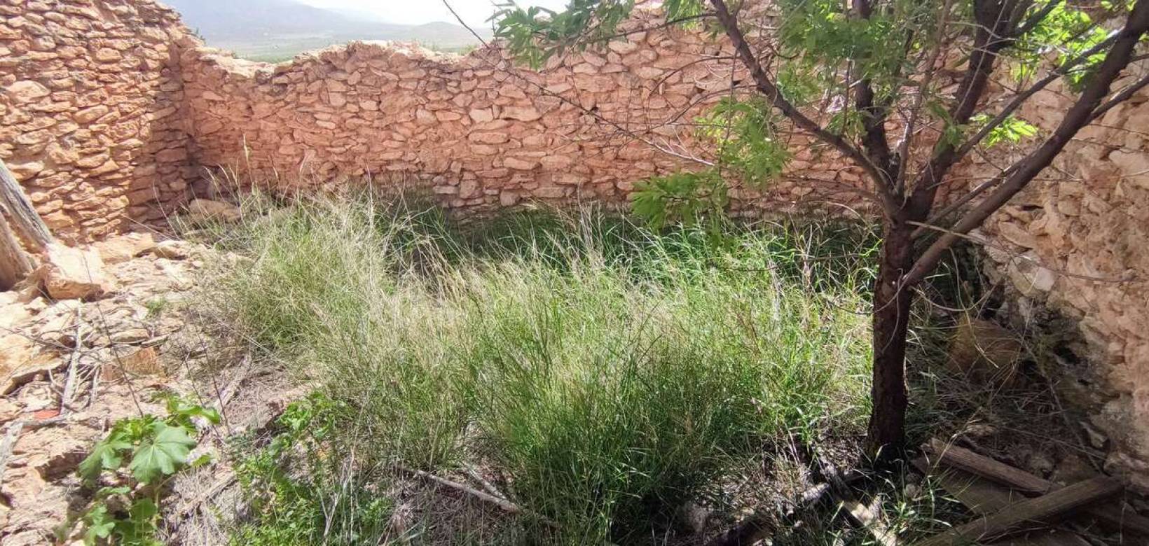 Wederverkoop - Country house - Pinoso - 