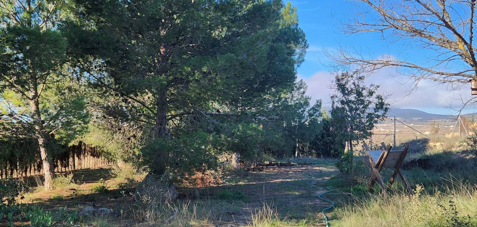 Wederverkoop - Country house - Pinoso - 