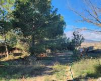 Wederverkoop - Country house - Pinoso - 