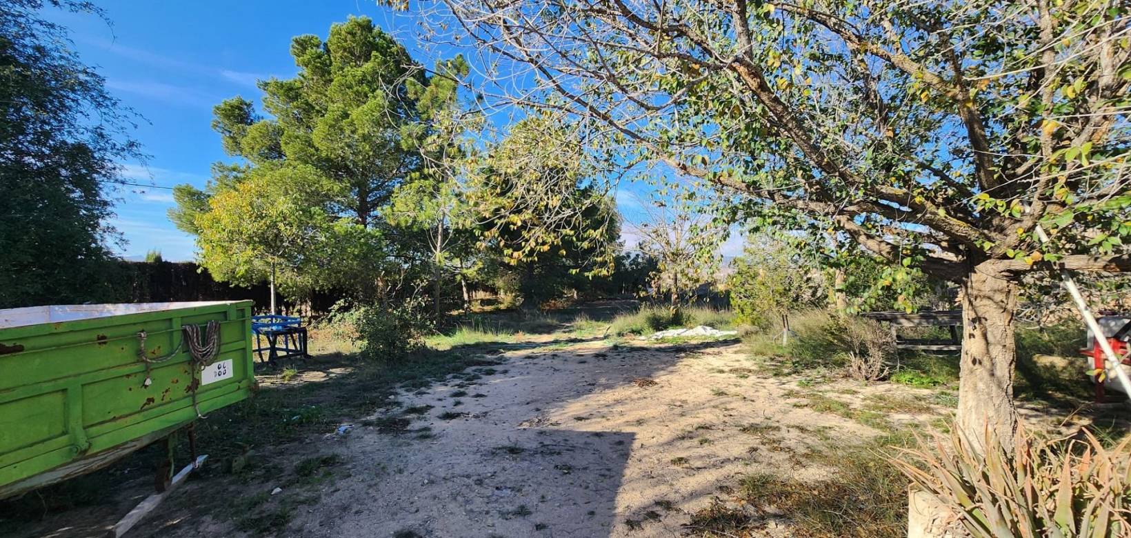 Wederverkoop - Country house - Pinoso - 