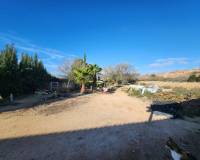 Wederverkoop - Country house - Pinoso - 