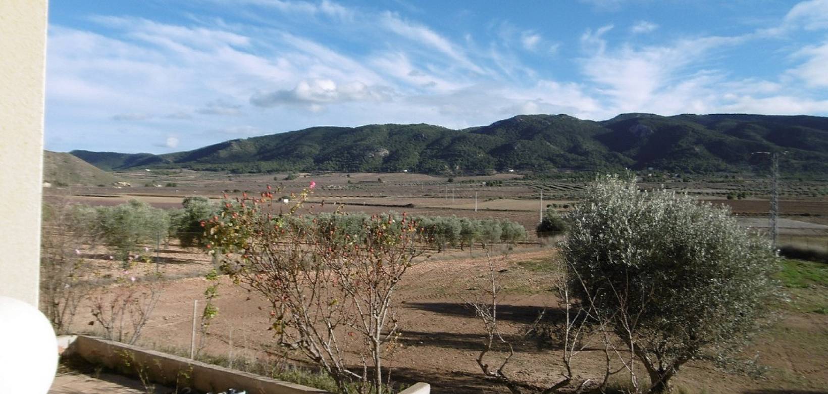 Wederverkoop - Country house - Yecla