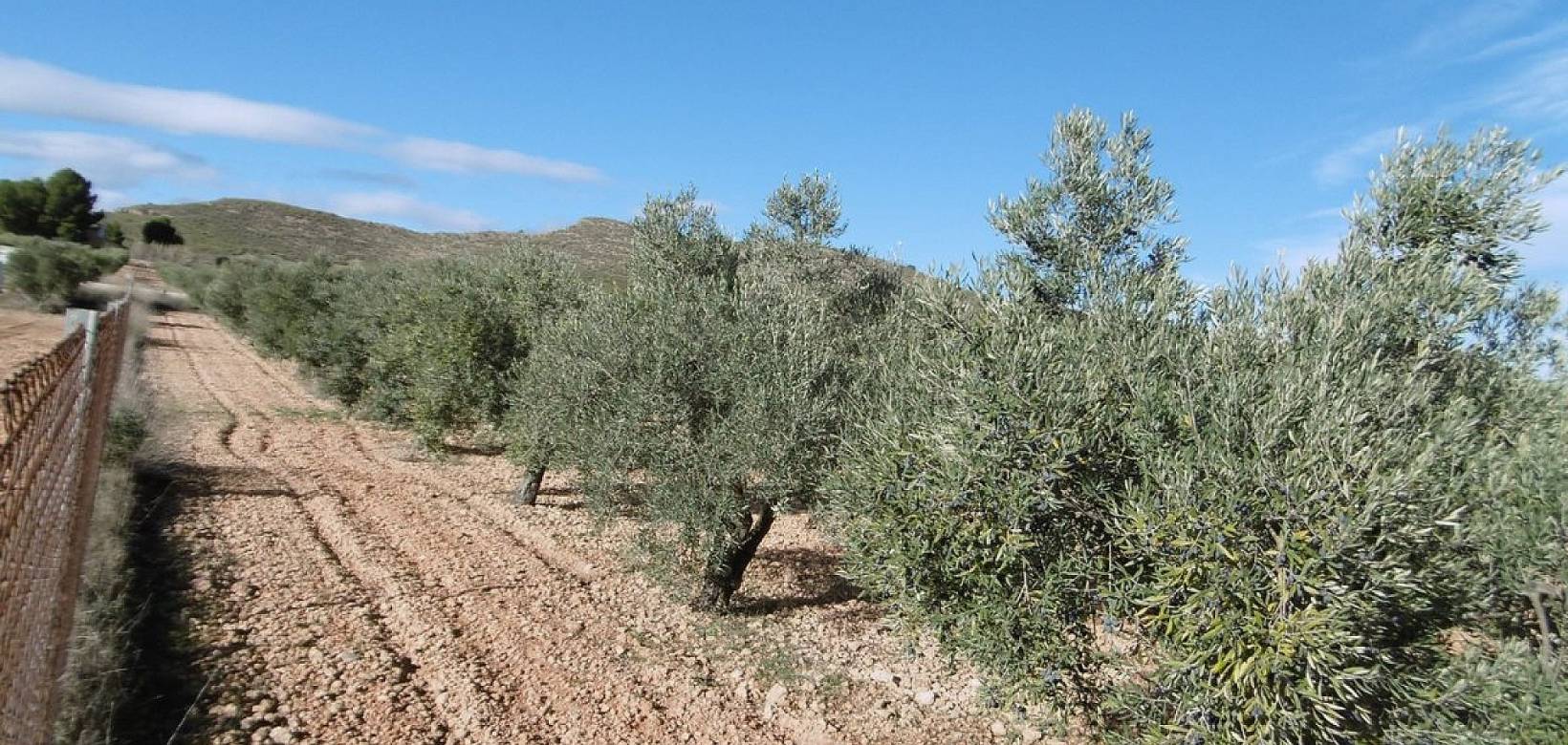 Wederverkoop - Country house - Yecla