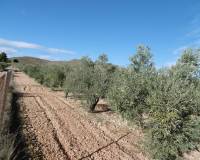 Wederverkoop - Country house - Yecla