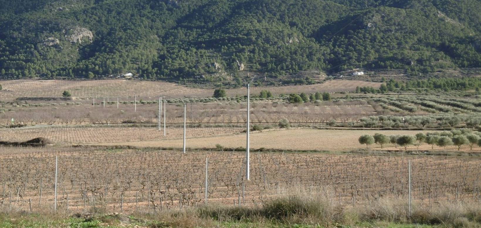 Wederverkoop - Country house - Yecla