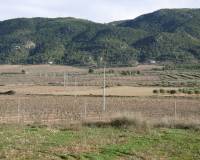 Wederverkoop - Country house - Yecla