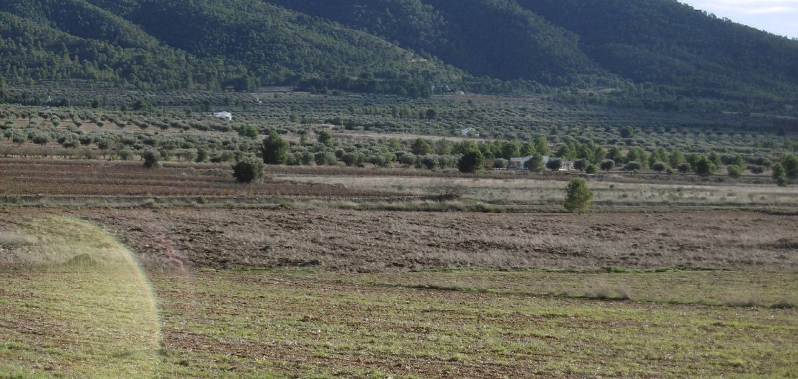 Wederverkoop - Country house - Yecla