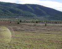 Wederverkoop - Country house - Yecla