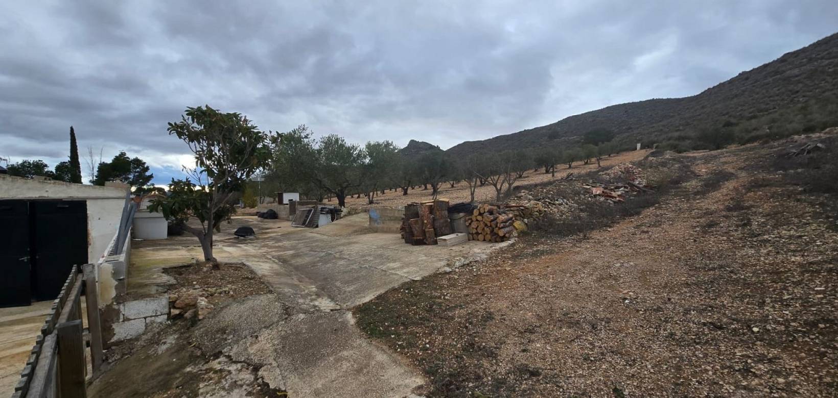 Wederverkoop - Country house - Yecla