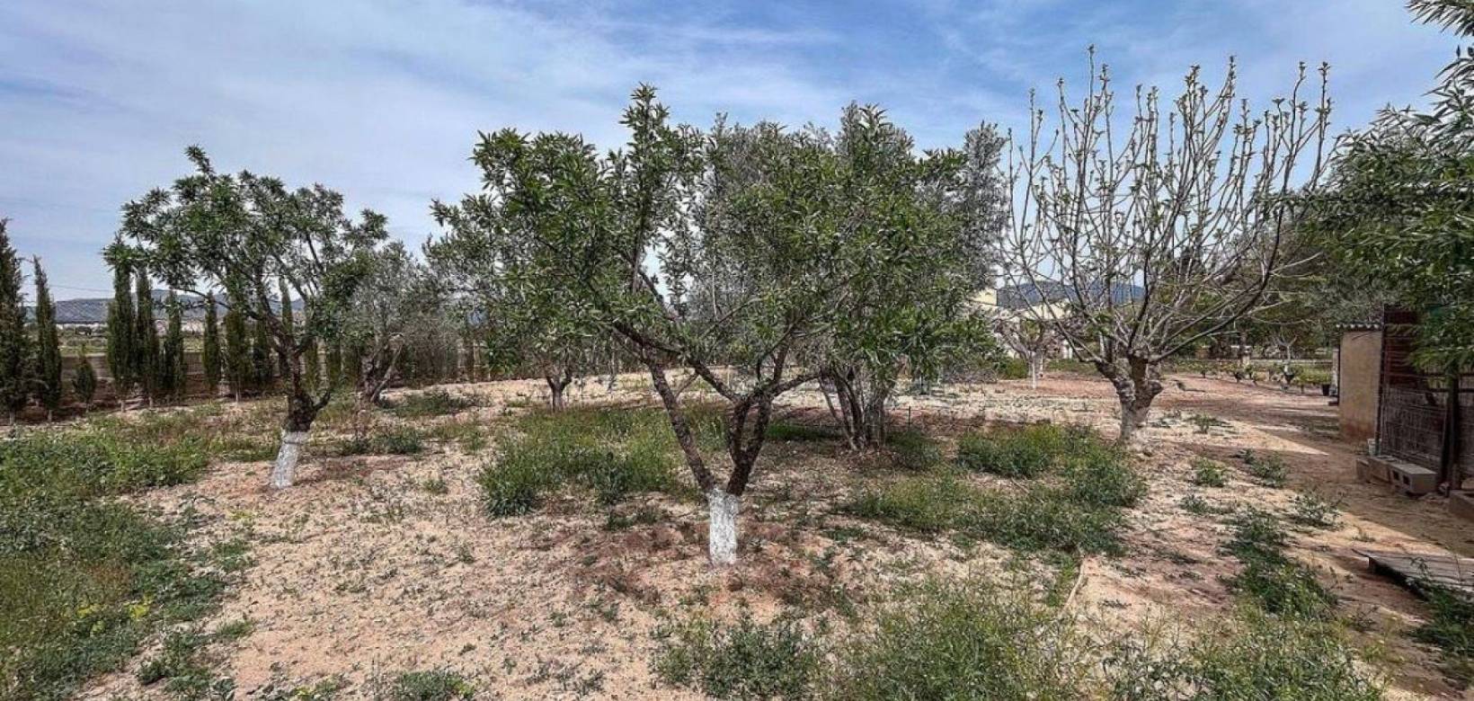 Wederverkoop - Country house - 