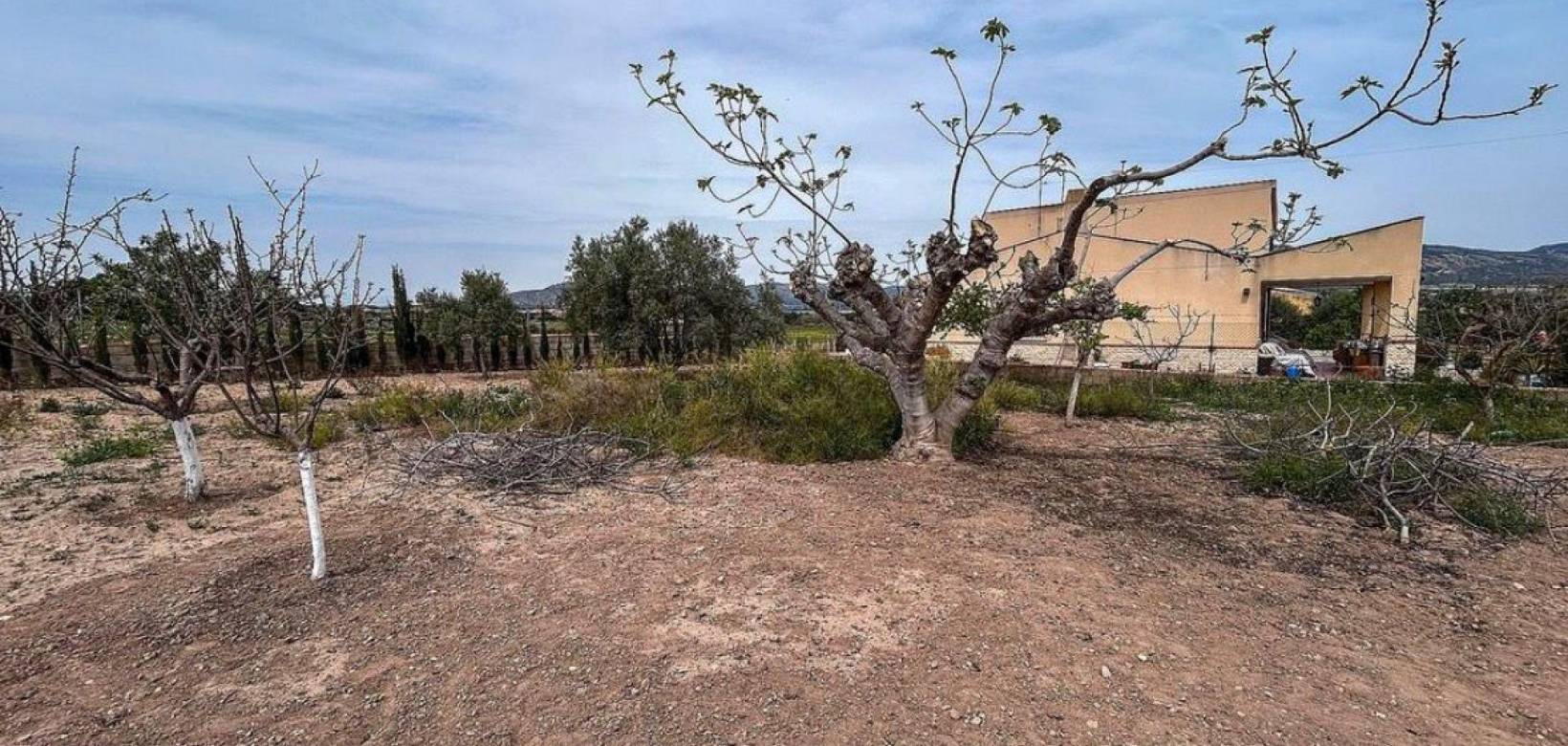 Wederverkoop - Country house - 