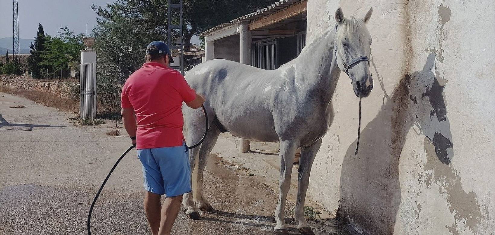 Wederverkoop - Detached villa -  - Monovar