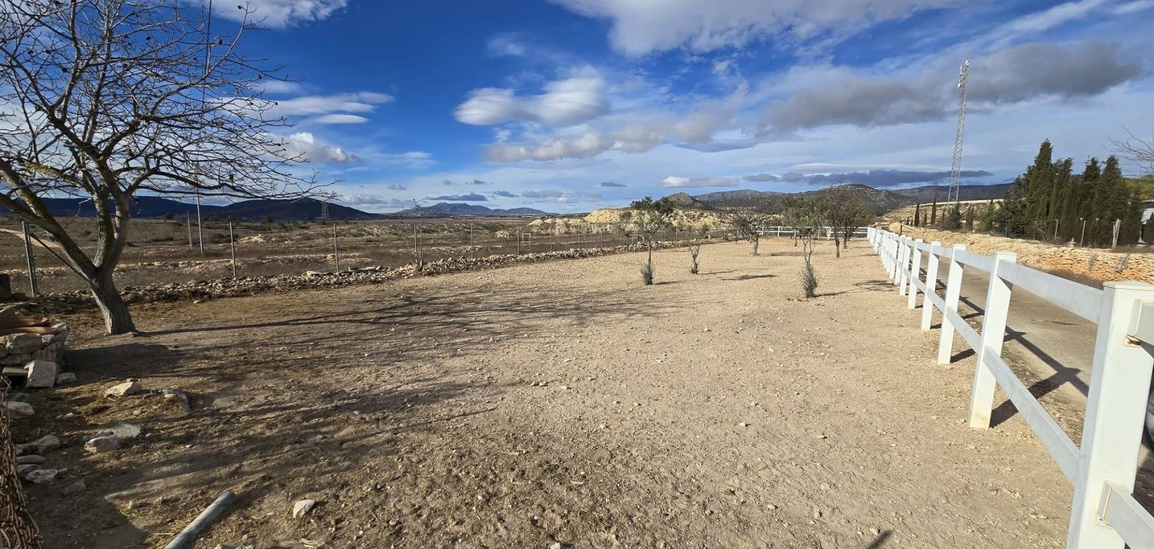 Wederverkoop - Detached villa -  - Monovar