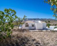 Wederverkoop - Detached villa - Pinoso - 