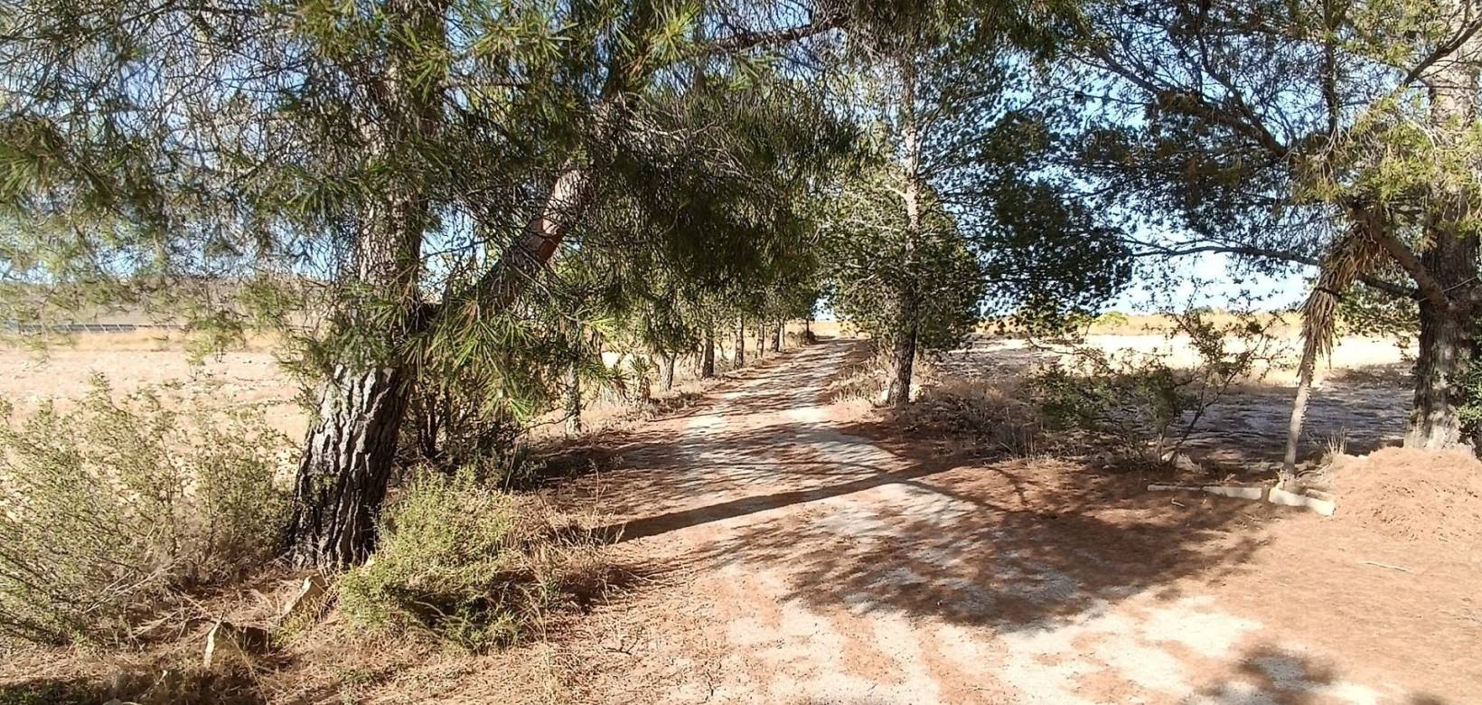 Wederverkoop - Detached villa - Yecla