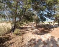 Wederverkoop - Detached villa - Yecla