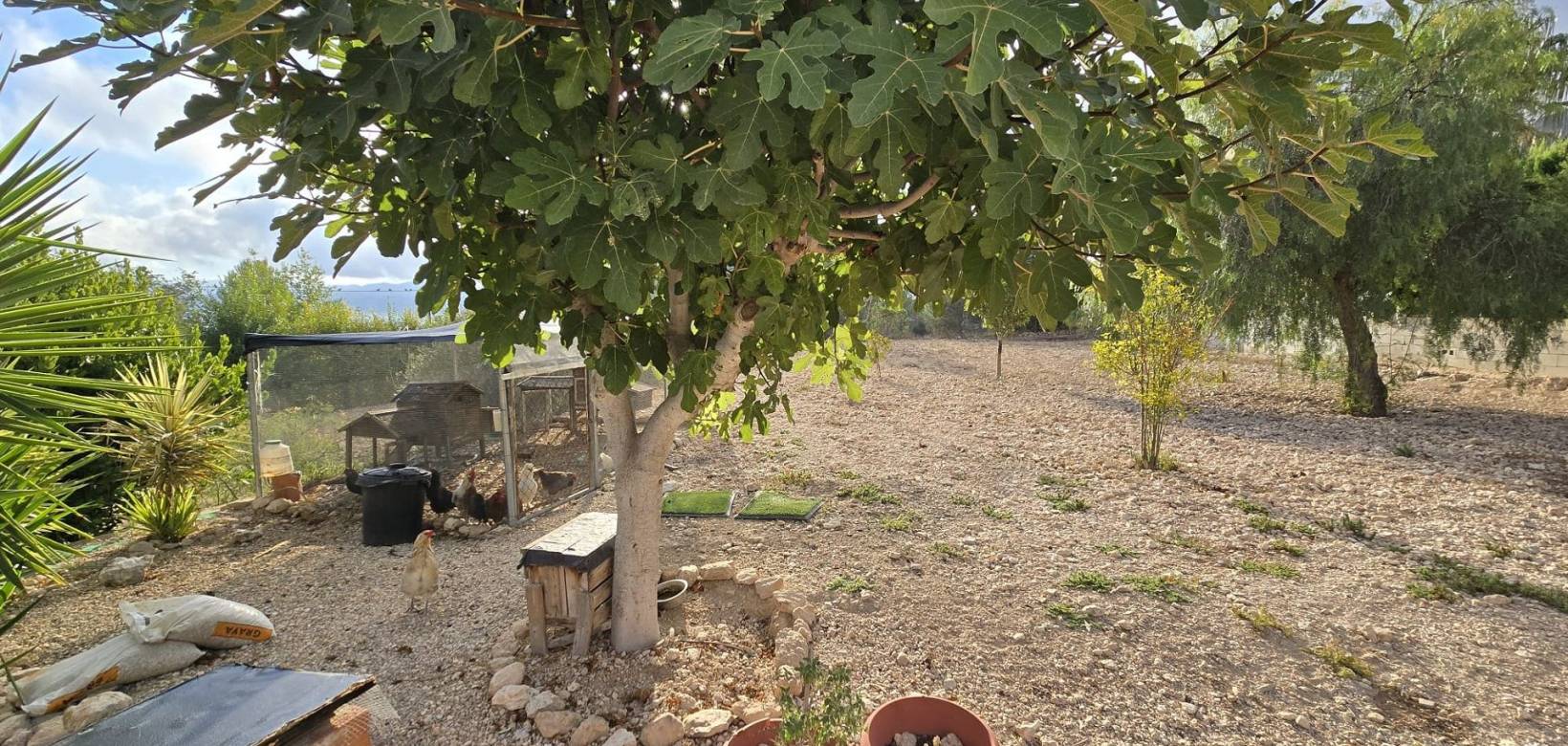 Wederverkoop - Detached villa - 