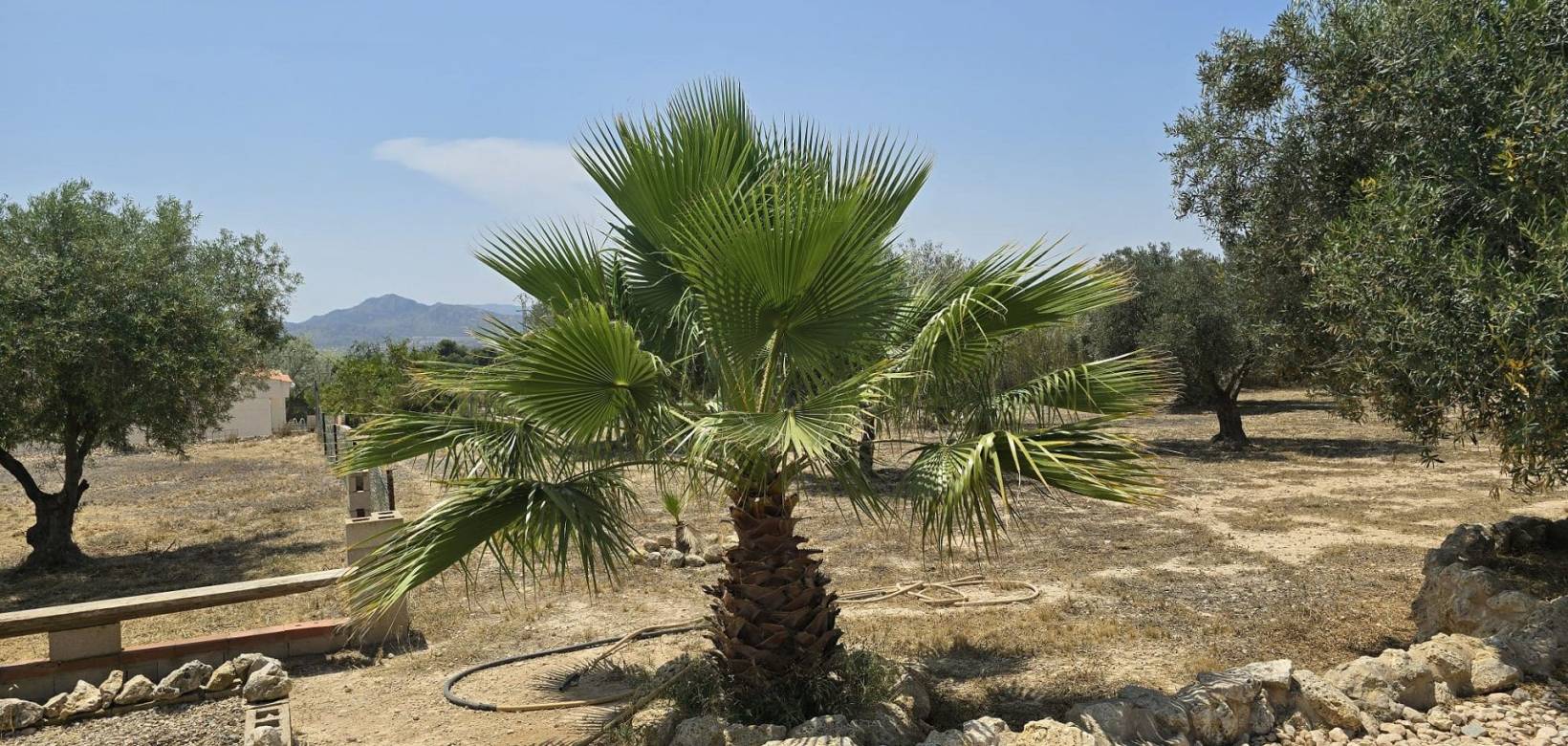 Wederverkoop - Detached villa - 