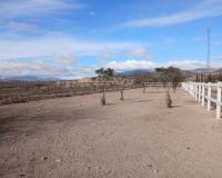 Wederverkoop - Equestrian property -  - Monovar