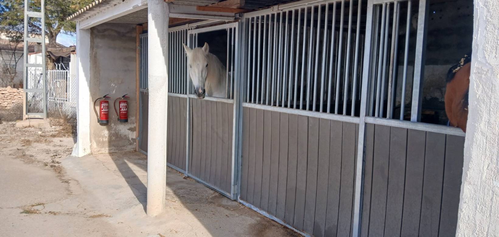 Wederverkoop - Equestrian property -  - Monovar