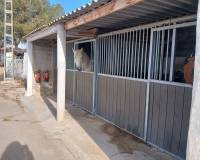 Wederverkoop - Equestrian property -  - Monovar