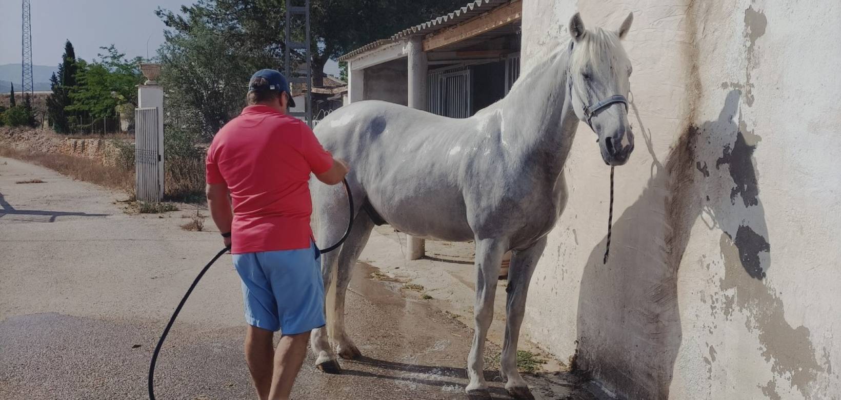 Wederverkoop - Equestrian property -  - Monovar