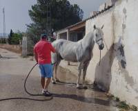 Wederverkoop - Equestrian property -  - Monovar