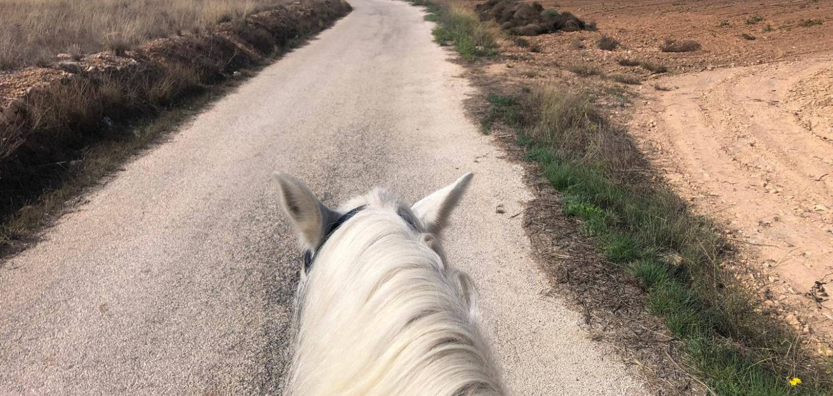 Wederverkoop - Equestrian property -  - Monovar