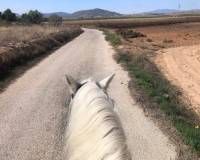 Wederverkoop - Equestrian property -  - Monovar