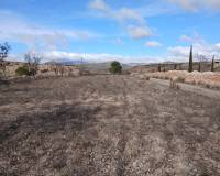 Wederverkoop - Equestrian property -  - Monovar