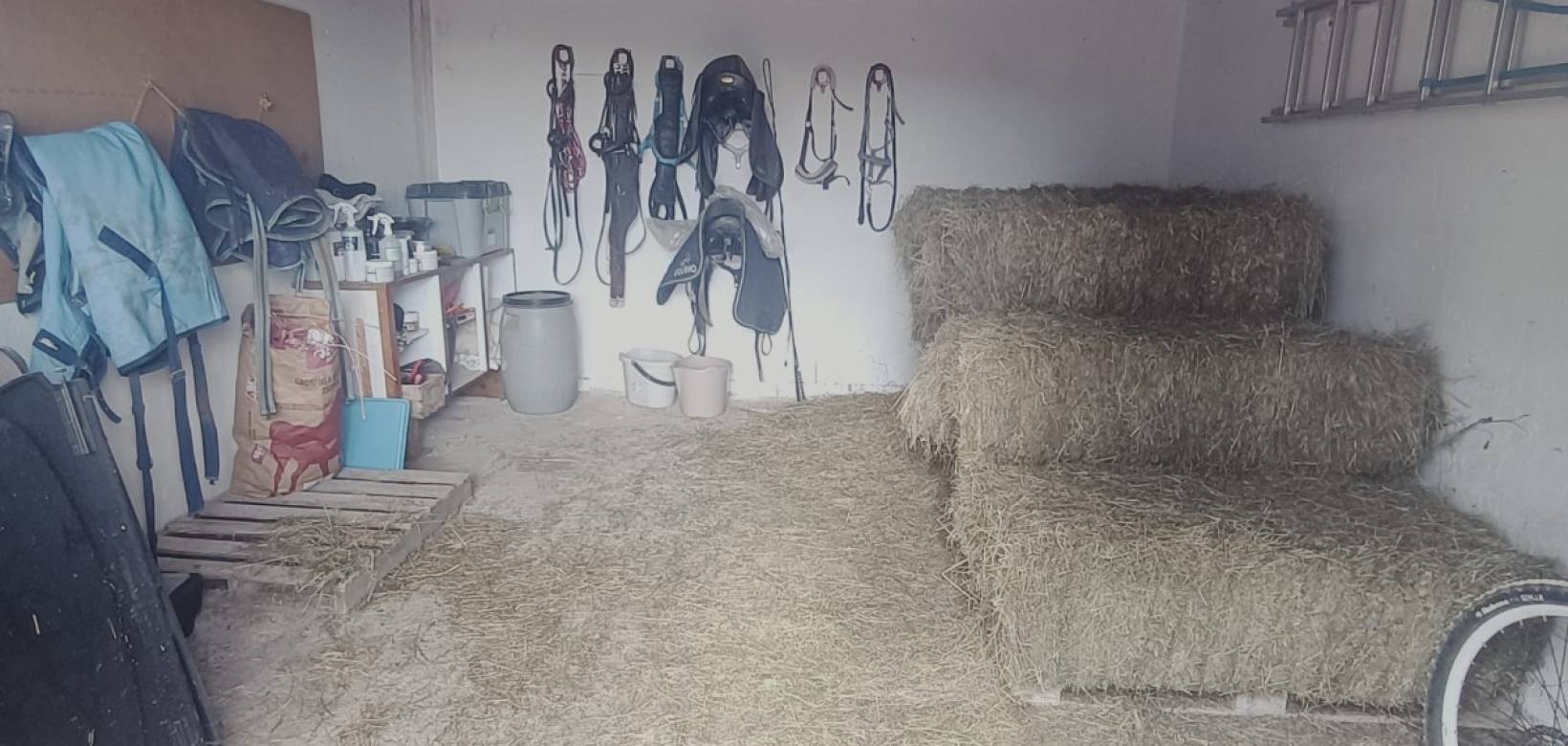 Wederverkoop - Equestrian property -  - Monovar