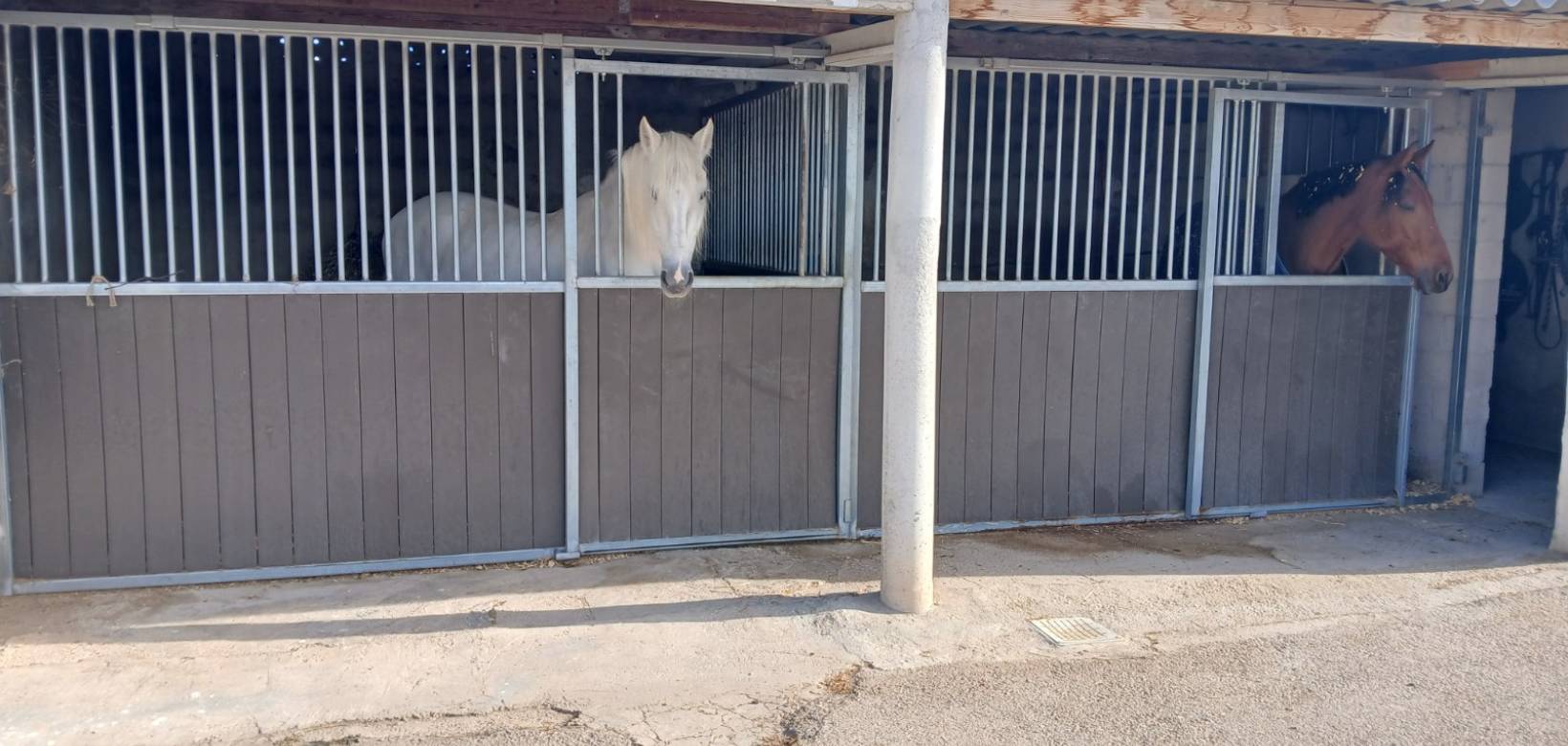 Wederverkoop - Equestrian property -  - Monovar